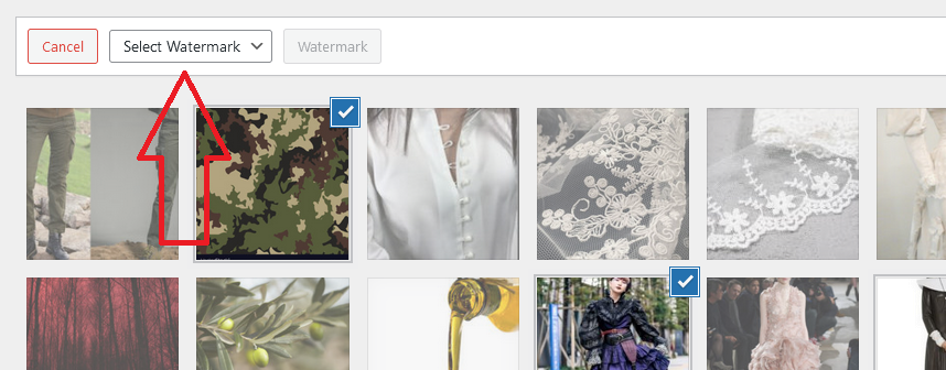Watermark selection dropdown modal for bulk watermarking
